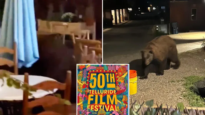 Telluride Film Festival Attendees List: Many Movie Fans, One Bear